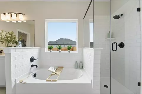 Bath - 173 Verdin Ave, Kyle, TX 78640 photo 5 of 8