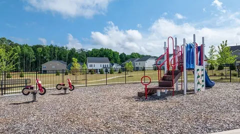View/Area - 330 Marmalade Sky Ln, Wake Forest, NC 27587 photo 4 of 8