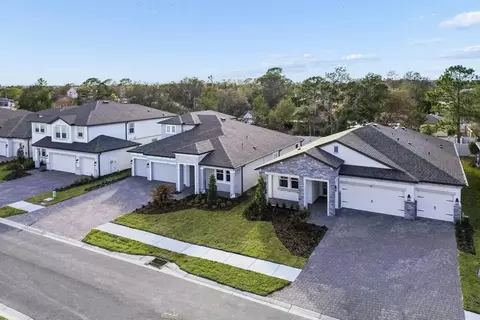View/Area - 2528 Clary Sage Dr, Spring Hill, FL 34609 photo 9 of 11