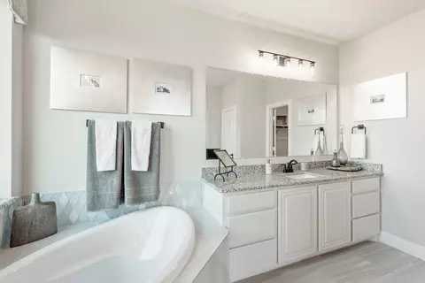 Bath - 1804 Hickory Chase Ln, Anna, TX 75409 photo 3 of 5