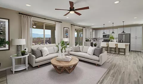 Living - 371 Knotgrass St, Hemet, CA 92543 photo 3 of 6