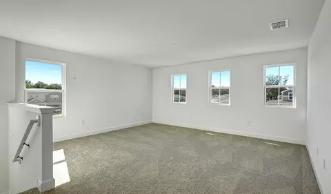 Other - 1010 Cloud Ridge Ct, Mount Dora, FL 32757 photo 3 of 5