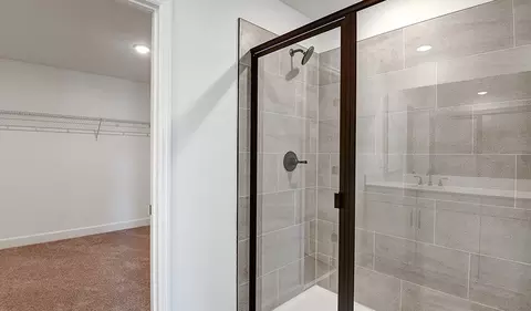 Bath - 1010 Cloud Ridge Ct, Mount Dora, FL 32757 photo 3 of 4