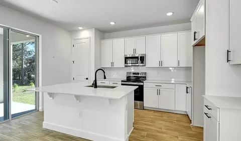 Kitchen - 1010 Cloud Ridge Ct, Mount Dora, FL 32757 photo 2 of 5