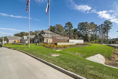 View/Area - 22736 Hackberry Leaf Dr, New Caney, TX 77357 photo 9 of 14