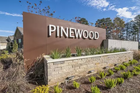 View/Area - 22736 Hackberry Leaf Dr, New Caney, TX 77357 photo 2 of 14