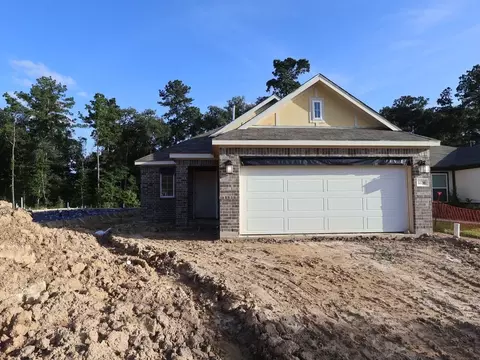 22736 Hackberry Leaf Dr, New Caney, TX 77357