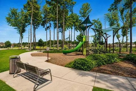 View/Area - 22736 Hackberry Leaf Dr, New Caney, TX 77357 photo 7 of 14