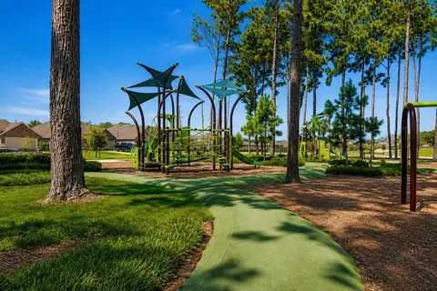 View/Area - 22736 Hackberry Leaf Dr, New Caney, TX 77357 photo 10 of 14