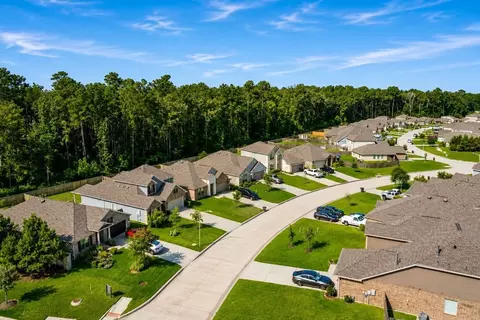 View/Area - 22736 Hackberry Leaf Dr, New Caney, TX 77357 photo 8 of 14