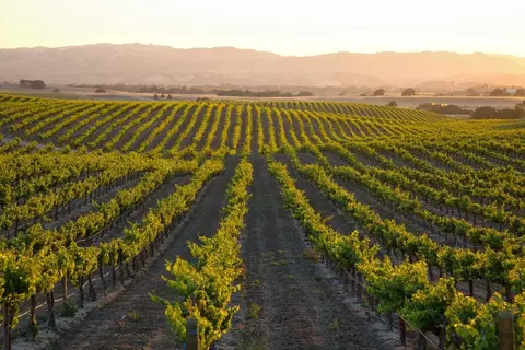 Other - 1080 Vinaza Ln, Paso Robles, CA 93446 photo 29 of 40