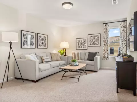Living - 21216 Sanctuary Dr, Lancaster, SC 29720 photo 3 of 4