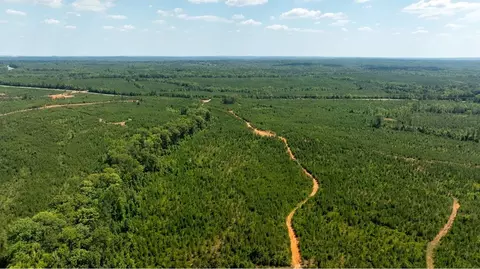 View/Area - 5 Mitchell Rd, Fortson, GA 31808 photo 7 of 20