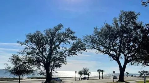 View/Area - Fields Way, Pass Christian, MS 39571 photo 1 of 1