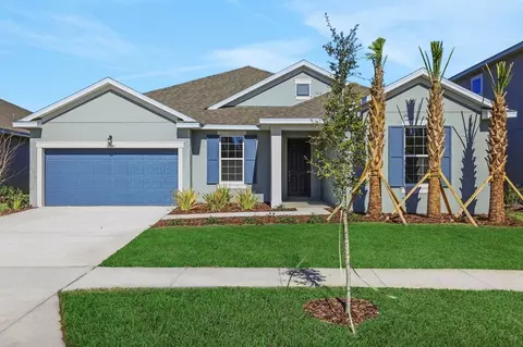 17441 Valleywood Pkwy, Land O Lakes, FL 34638