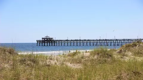 View/Area - 213 Evington Dr, Longs, SC 29568 photo 7 of 10