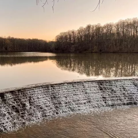 View/Area - 101 Florence Cv, Burns, TN 37029 photo 1 of 1