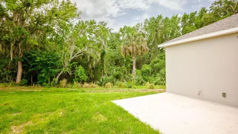 Exterior - 14055 Spring Hill Dr, Spring Hill, FL 34609 photo 10 of 12