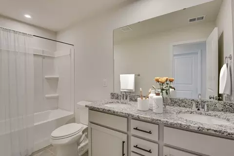 Bath - 639 Griffon Dr, Chapin, SC 29036 photo 2 of 8