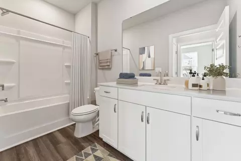 Bath - 639 Griffon Dr, Chapin, SC 29036 photo 5 of 8