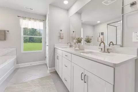 Bath - 639 Griffon Dr, Chapin, SC 29036 photo 6 of 8
