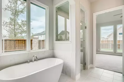Bath - 4801 Triadic Ln, Prosper, TX 75078 photo 1 of 10