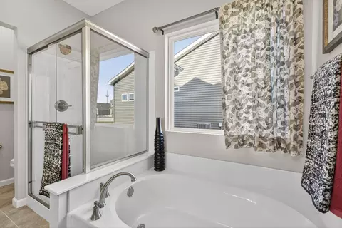 Bath - 101 River Wind Dr, Saint Charles, MO 63301 photo 3 of 4
