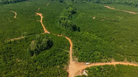 Other - 5 Mitchell Rd, Fortson, GA 31808 photo 2 of 18