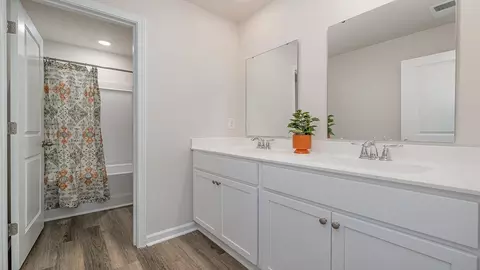 Bath - 218 Ridley St, Longs, SC 29568 photo 3 of 4