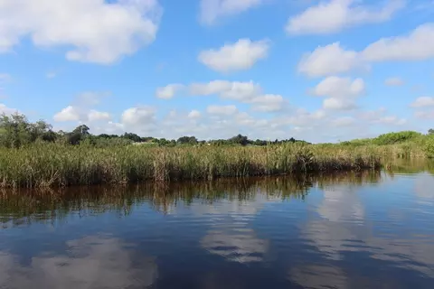 View/Area - 991 Crocus St NE, Palm Bay, FL 32907 photo 3 of 4
