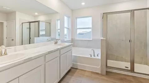 Bath - 1855 Browning Loop, Parrish, FL 34219 photo 1 of 8