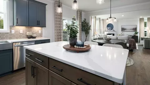 Kitchen - 1007 Canvasback Way, Indian Trail, NC 28079 photo 10 of 15