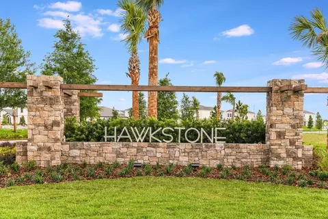View/Area - 14816 Rider Pass Dr, Lithia, FL 33547 photo 1 of 4