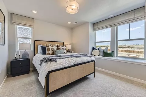 Bedroom - 13796 Daffodil Pt, Parker, CO 80134 photo 8 of 12