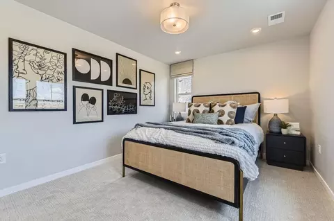 Bedroom - 13796 Daffodil Pt, Parker, CO 80134 photo 9 of 12