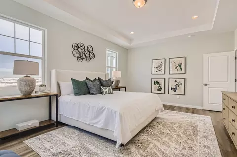 Bedroom - 13796 Daffodil Pt, Parker, CO 80134 photo 2 of 12