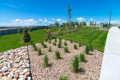View/Area - 13796 Daffodil Pt, Parker, CO 80134 photo 6 of 17