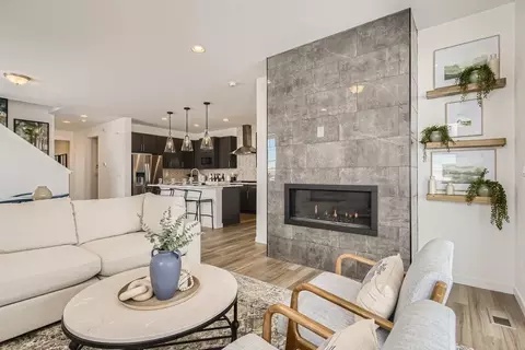 Living - 13796 Daffodil Pt, Parker, CO 80134 photo 3 of 10
