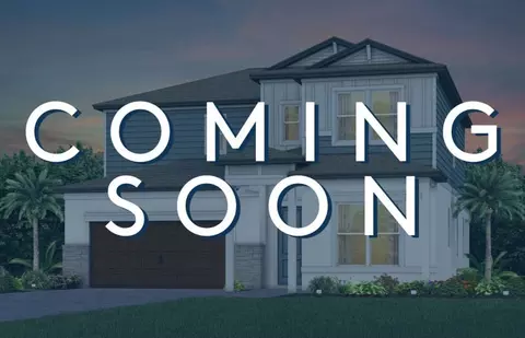 33247 Legacy Lands Ln, Wesley Chapel, FL 33545