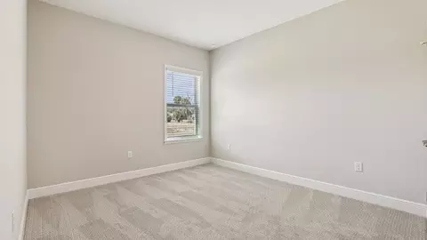 Bedroom - 14055 Spring Hill Dr, Spring Hill, FL 34609 photo 3 of 10