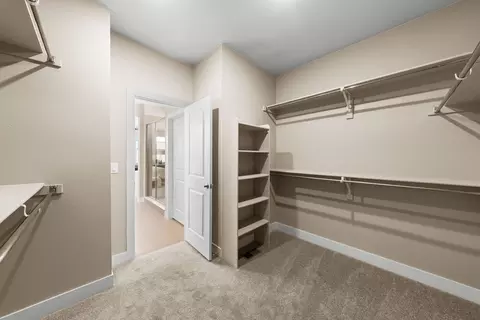 Other - 17089 Standing Elk Dr, Parker, CO 80134 photo 13 of 25