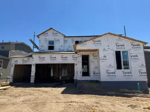 859 Mesic Ln, Windsor, CO 80550