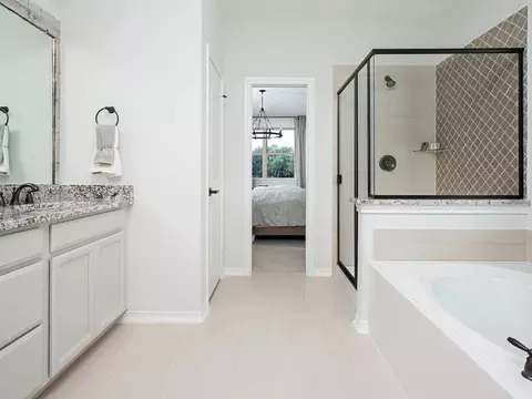 Bath - 3710 Quartz Manor Dr, Angleton, TX 77515 photo 1 of 2