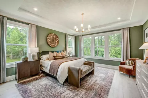 Bedroom - 12912 Garffe Sherron Rd, Wake Forest, NC 27587 photo 9 of 9