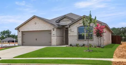 Other - 1620 Macadamia Ct, Aubrey, TX 76227 photo 2 of 18