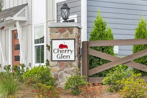 View/Area - 102 Cherry Glen Way, Euharlee, GA 30145 photo 1 of 7