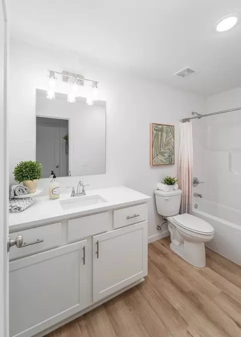 Bath - 3914 E Wilsons Valley Blvd, Brookline, MO 65619 photo 5 of 5