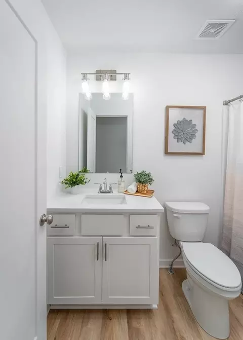 Bath - 3914 E Wilsons Valley Blvd, Brookline, MO 65619 photo 4 of 5