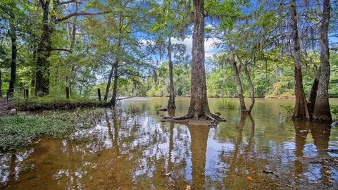 View/Area - 113 Harbour Dr, Hardeeville, SC 29927 photo 3 of 4