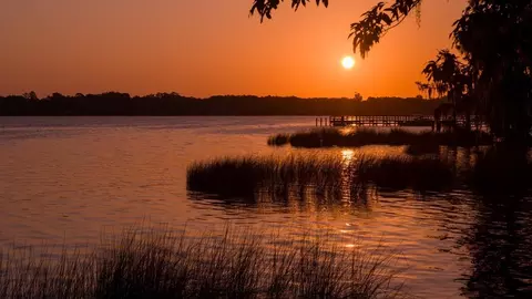 View/Area - 113 Harbour Dr, Hardeeville, SC 29927 photo 3 of 4